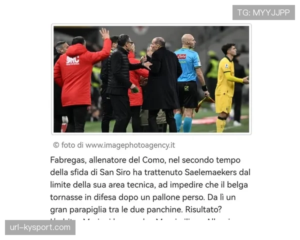 意甲联赛将实时公开裁判与VAR团队对话内容